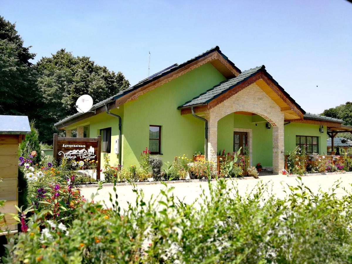 Agropensiunea Valea Fagilor Luncavita Exterior photo
